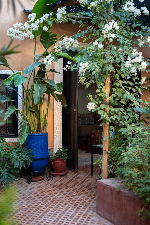 Riad Hanan Warzazát Exteriér fotografie